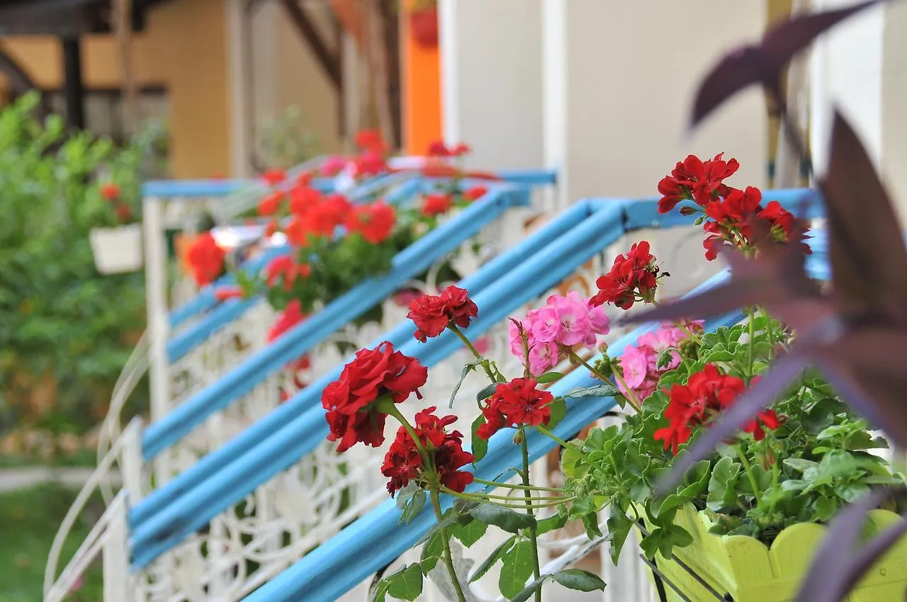 Tokgoz Butik Hotel&Apartment Oludeniz Aparthotel